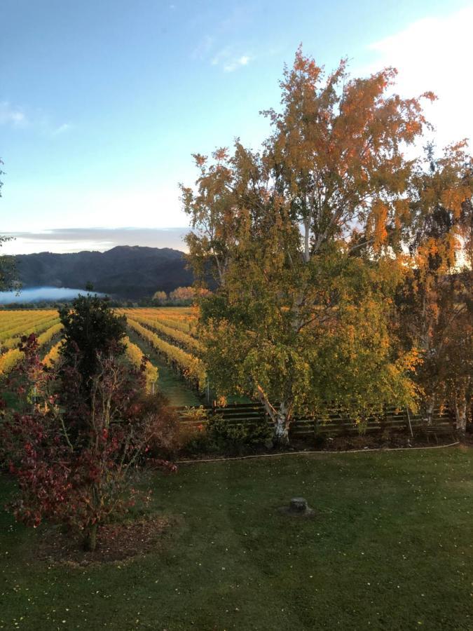 Vineyard Cottage In Blenheim On The Golden Mile Zewnętrze zdjęcie